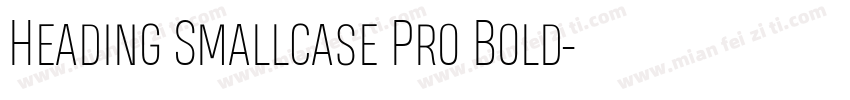 Heading Smallcase Pro Bold字体转换